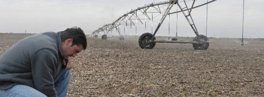 Agricultura: el “Big Data”, clave para ajustar los pronósticos y ahorrar mucha plata