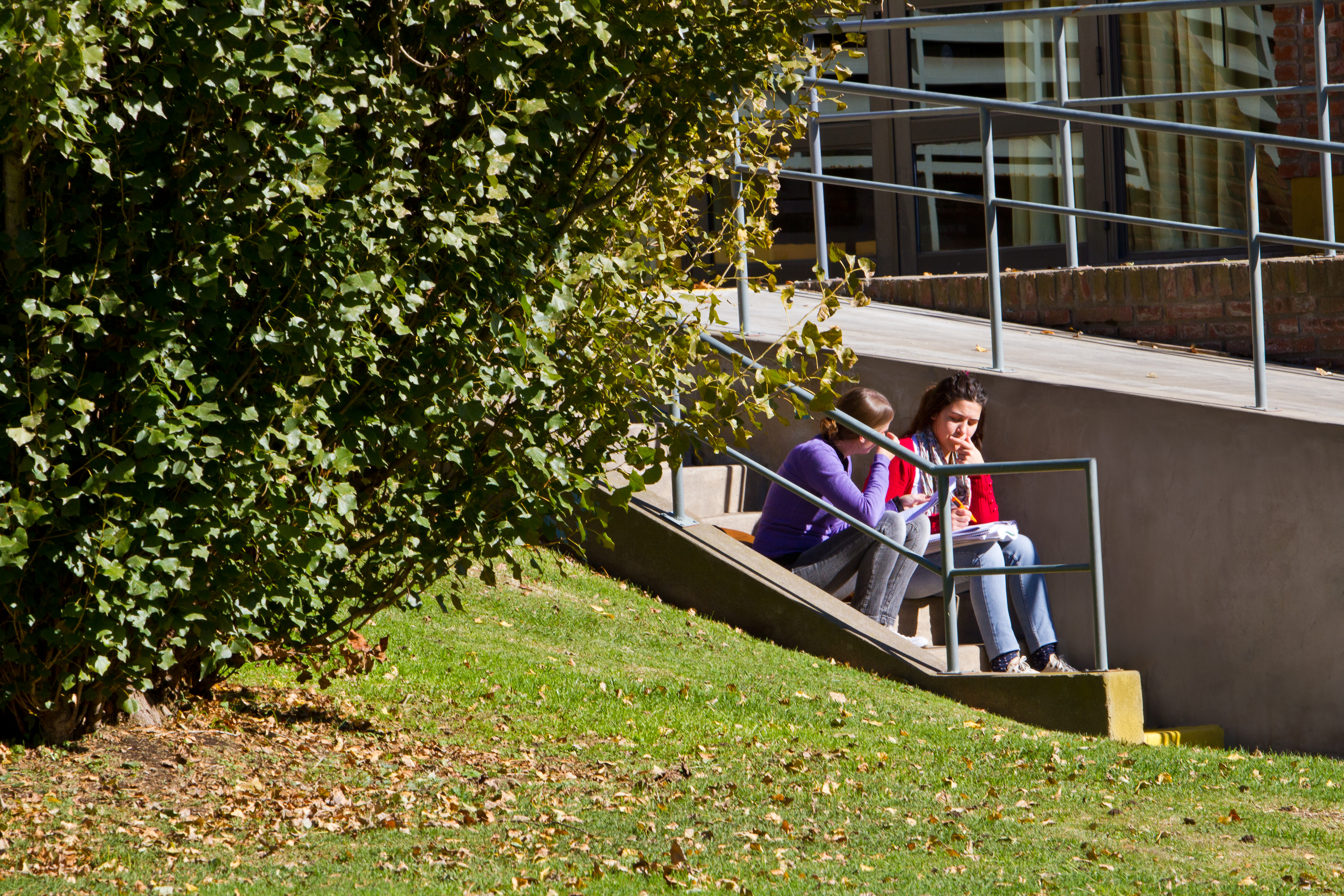 Campus y estudiantes 6