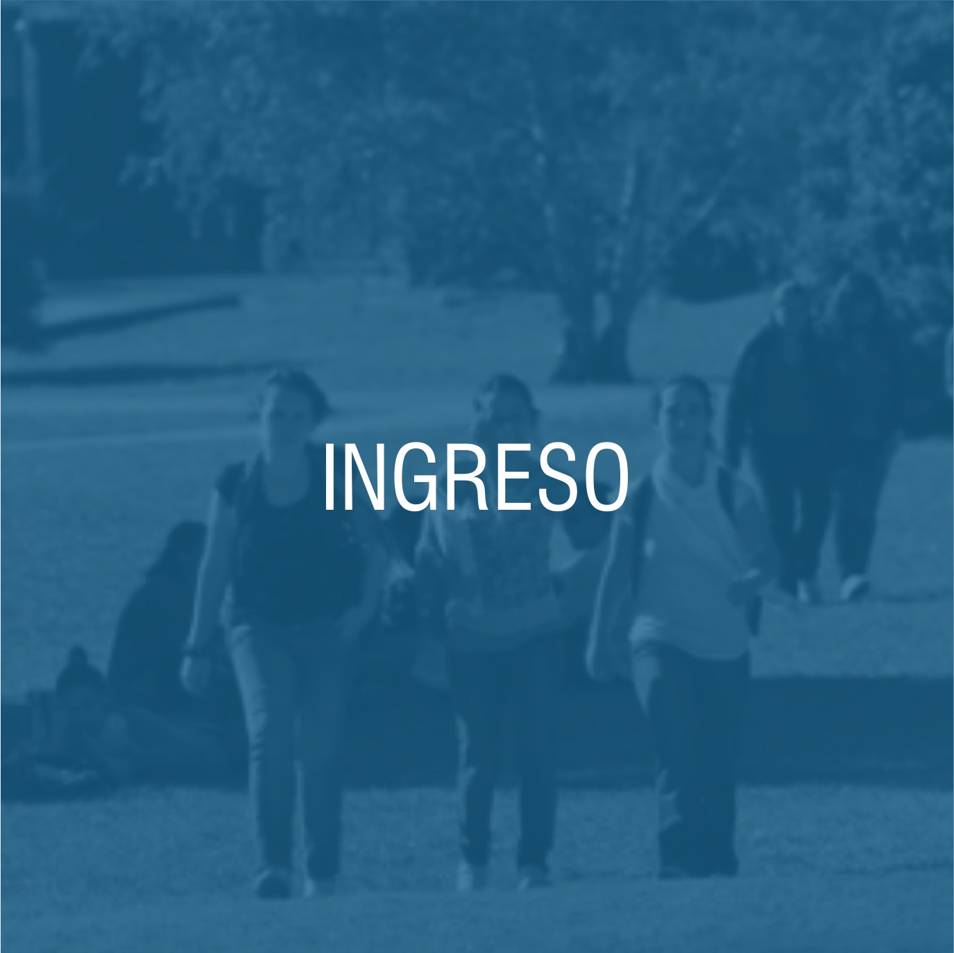 Ingreso