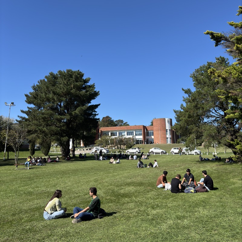 Institucional