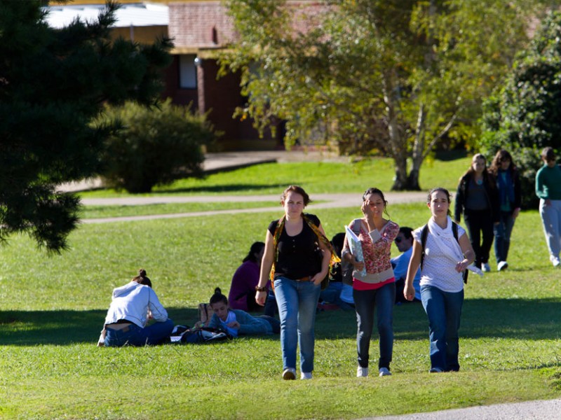 Alumnos Campus