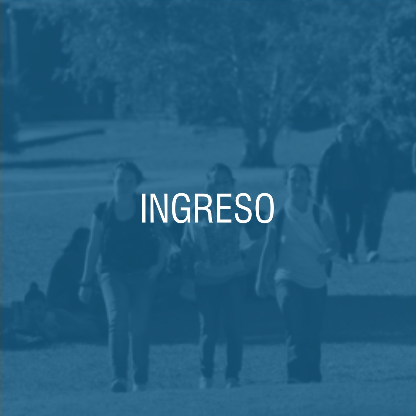 Ingreso